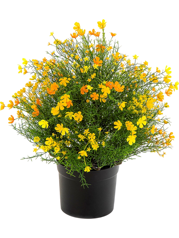 Гипсофила куст жёлтый (uv) (искусственный) Nieuwkoop Europe, 41527 41527 - фото 102844