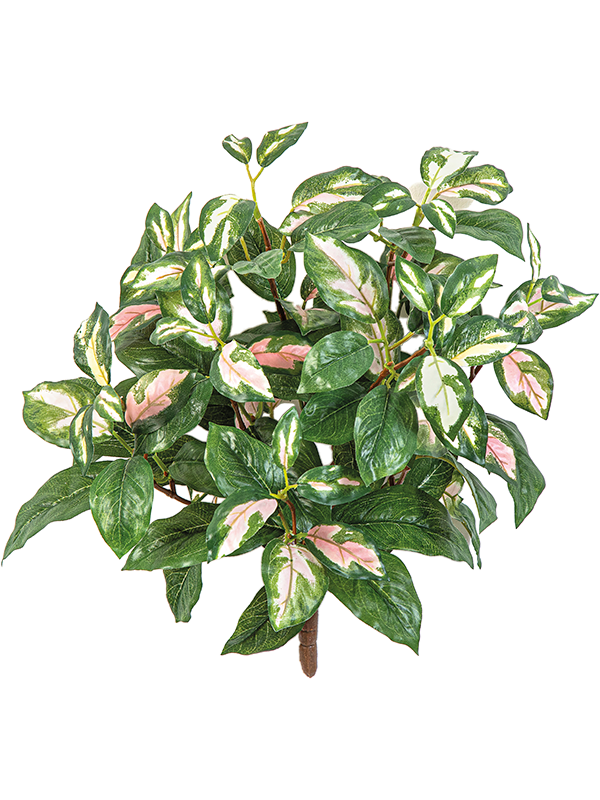 Хойя мясистая куст (искусственный) Nieuwkoop Europe 41528 - фото 102845