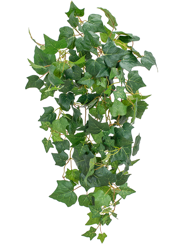 Плющ ампельный (fr) (искусственный) Nieuwkoop Europe, 41536 41536 - фото 102853