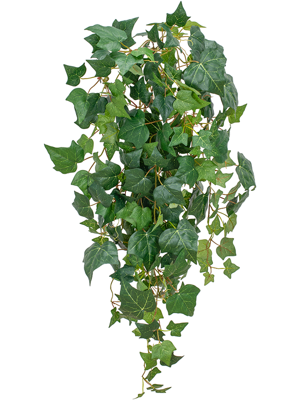 Плющ ампельный (fr) (искусственный) Nieuwkoop Europe, 41537 41537 - фото 102854