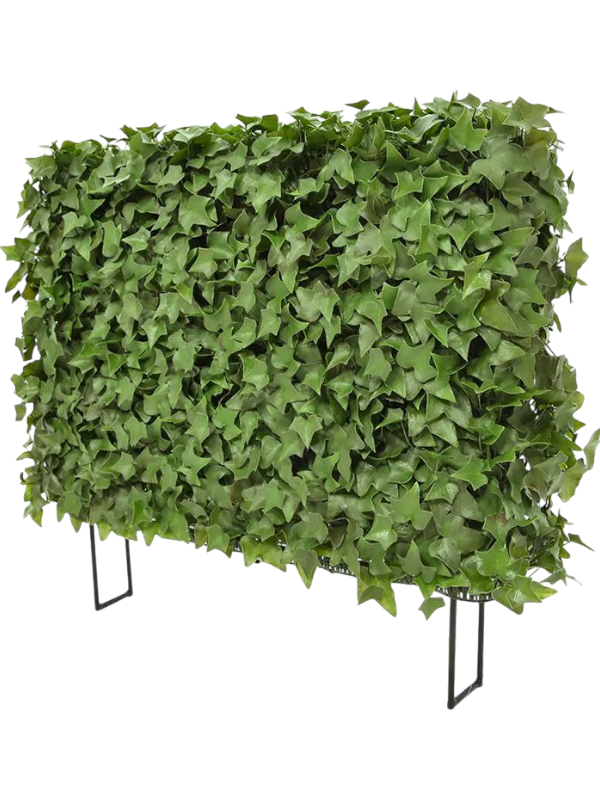 Плющ ампельный (uv) (искусственный) Nieuwkoop Europe, 41538 41538 - фото 102855