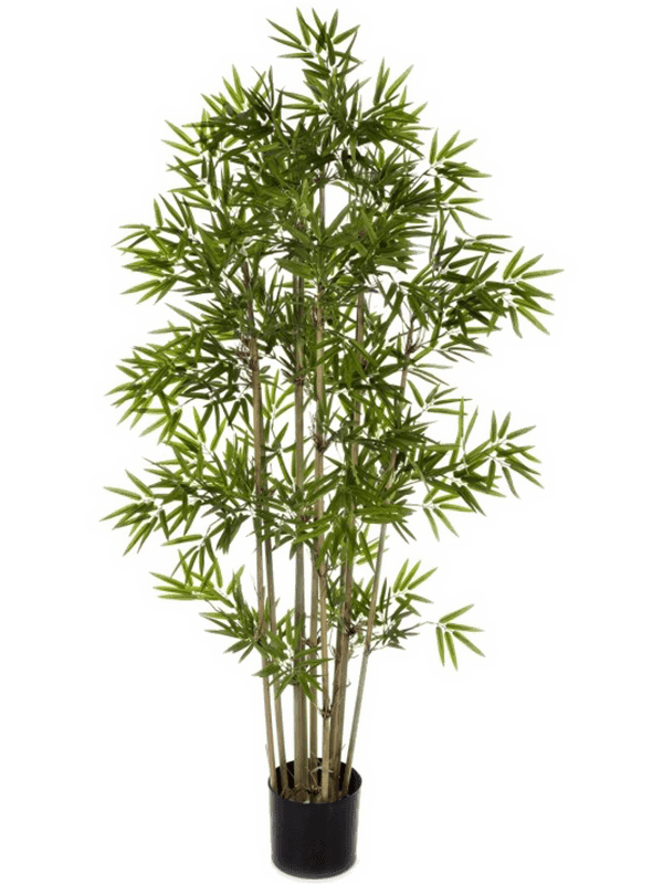Бамбук японский (искусственный) Nieuwkoop Europe, 41539 41539 - фото 102856