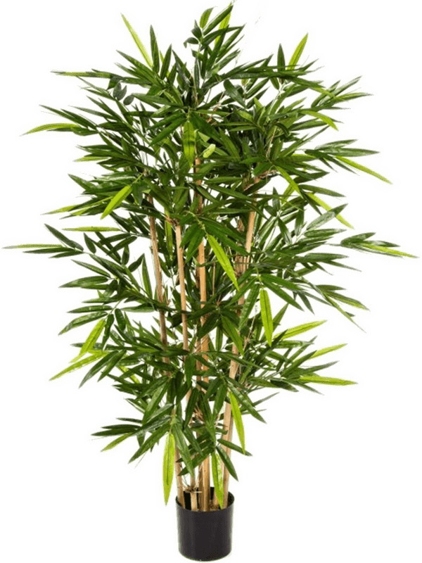 Бамбук японский дерево (270 cm) (искусственное) Nieuwkoop Europe 41540 - фото 102857