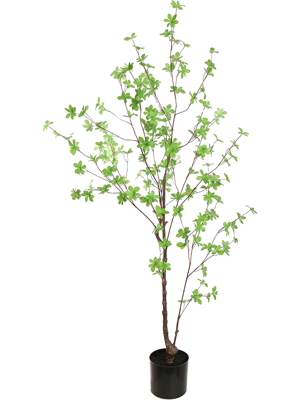 Японское дерево (искусственное) Nieuwkoop Europe 41541 - фото 102858