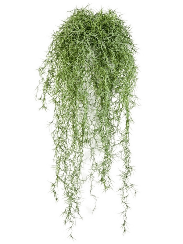 Тилландсия ветка ампельная (fr) (искусственная) Nieuwkoop Europe 41556 - фото 102873