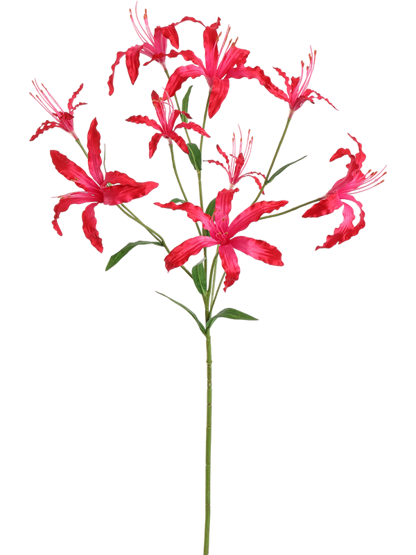 Ликорис лучистый цветок (искусственный) Nieuwkoop Europe 41558 - фото 102875