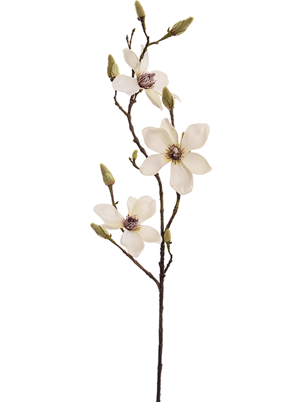 Магнолия ветка кремовая (искусственная) Nieuwkoop Europe 41559 - фото 102876
