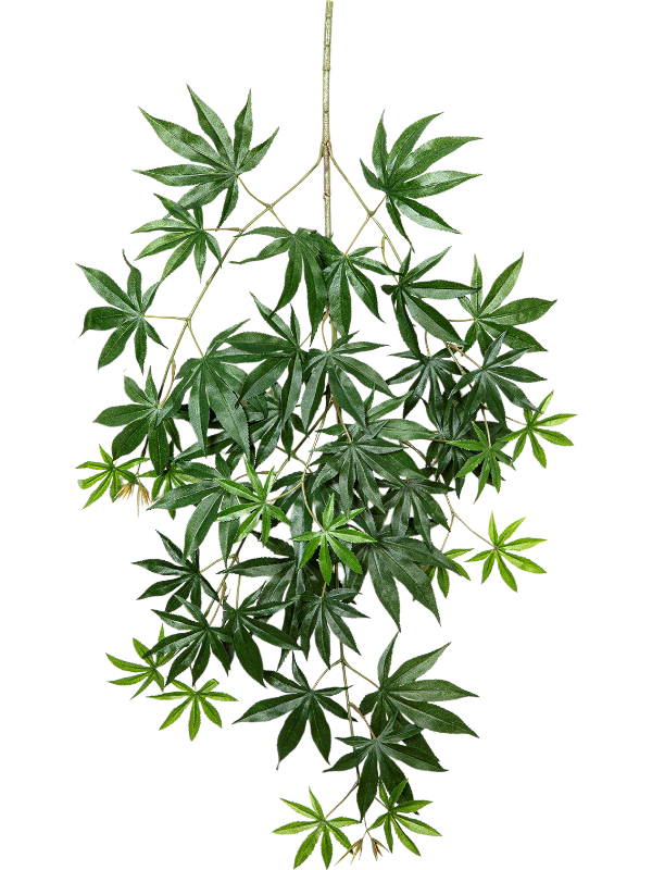 Клён ветка зелёная (искусственная) Nieuwkoop Europe 41632 - фото 103266