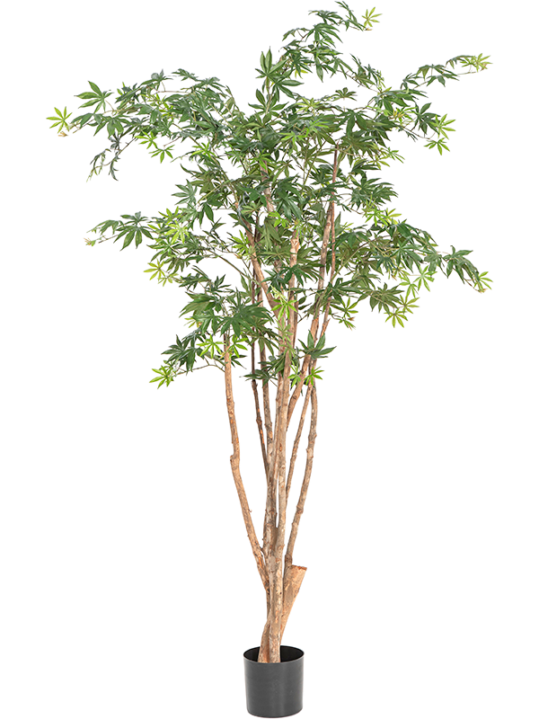 Клён дикий натуральный 180 (искусственный) Nieuwkoop Europe 41635 - фото 103269