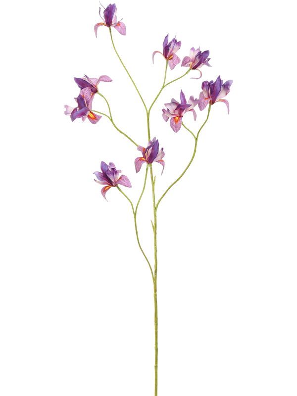 Ирис цветок лиловый (искусственный) Nieuwkoop Europe 41640 - фото 103272