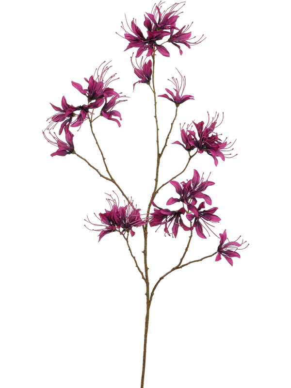 Монарда фиолетовая цветок (искусственный) Nieuwkoop Europe 41644 - фото 103275
