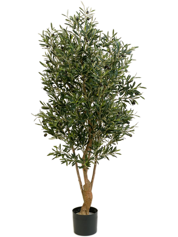 Олива 180 (искусственная) Nieuwkoop Europe, 41652 41652 - фото 103283