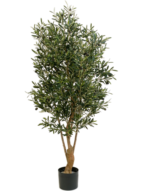 Олива 110 (искусственная) Nieuwkoop Europe 41653 - фото 103284