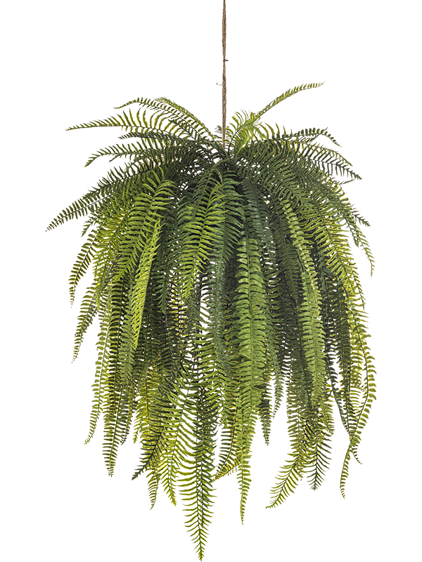 Нефролепис ампельный (искусственный) Nieuwkoop Europe 41654 - фото 103285