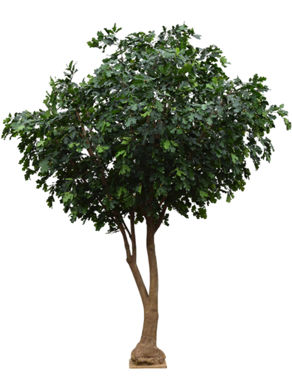 Дуб дерево (fr) (искусственное) Nieuwkoop Europe 41655 - фото 103286