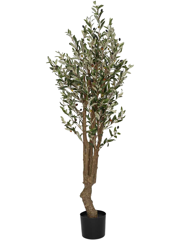 Олива дерево 180 (искусственное) Nieuwkoop Europe 41659 - фото 103289