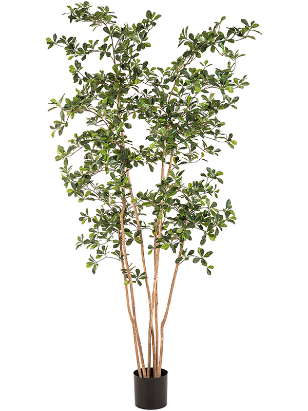 Олива Oriental (искусственная) Nieuwkoop Europe 41668 - фото 103297