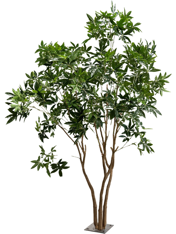 Пахира (knock down packing) (искусственная) Nieuwkoop Europe 41669 - фото 103298