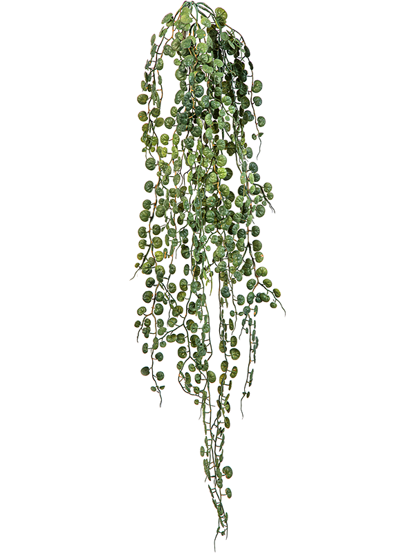 Пеперомия ползучая ампельная (искусственная) Nieuwkoop Europe 41678 - фото 103304