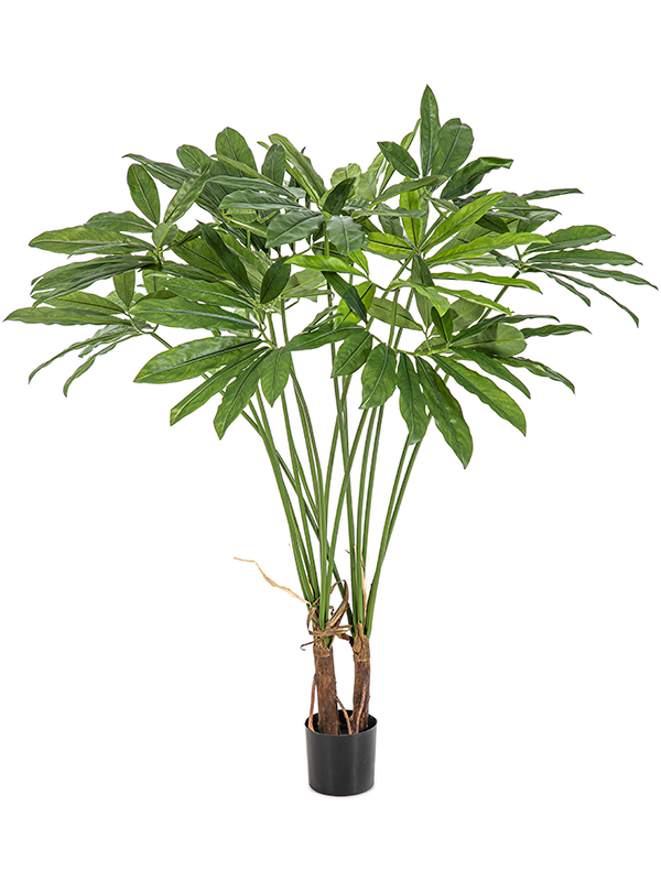 Филодендрон в горшке (искусственный) Nieuwkoop Europe, 41683 41683 - фото 103309