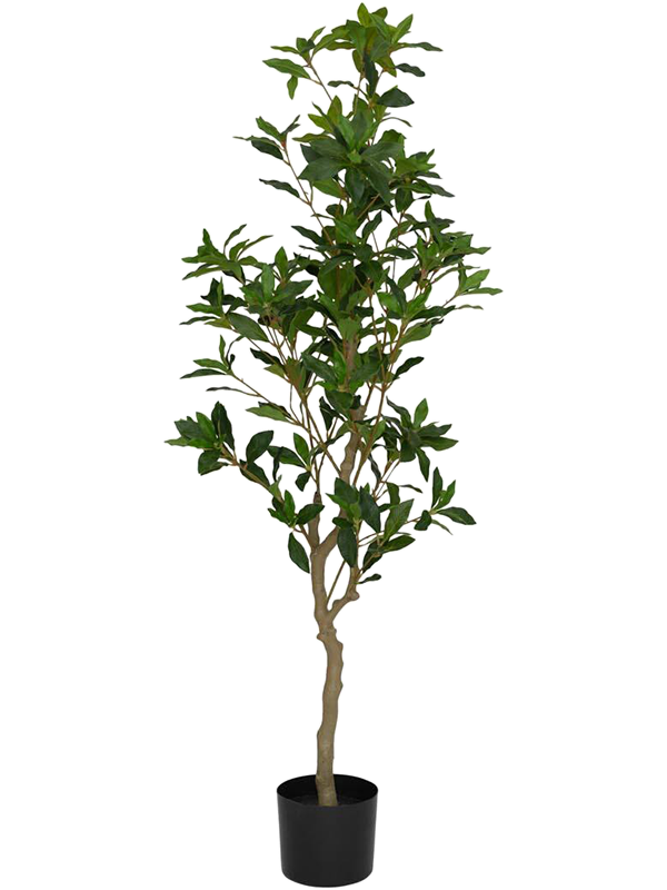 Пиерис 145 (искусственный) Nieuwkoop Europe 41687 - фото 103312