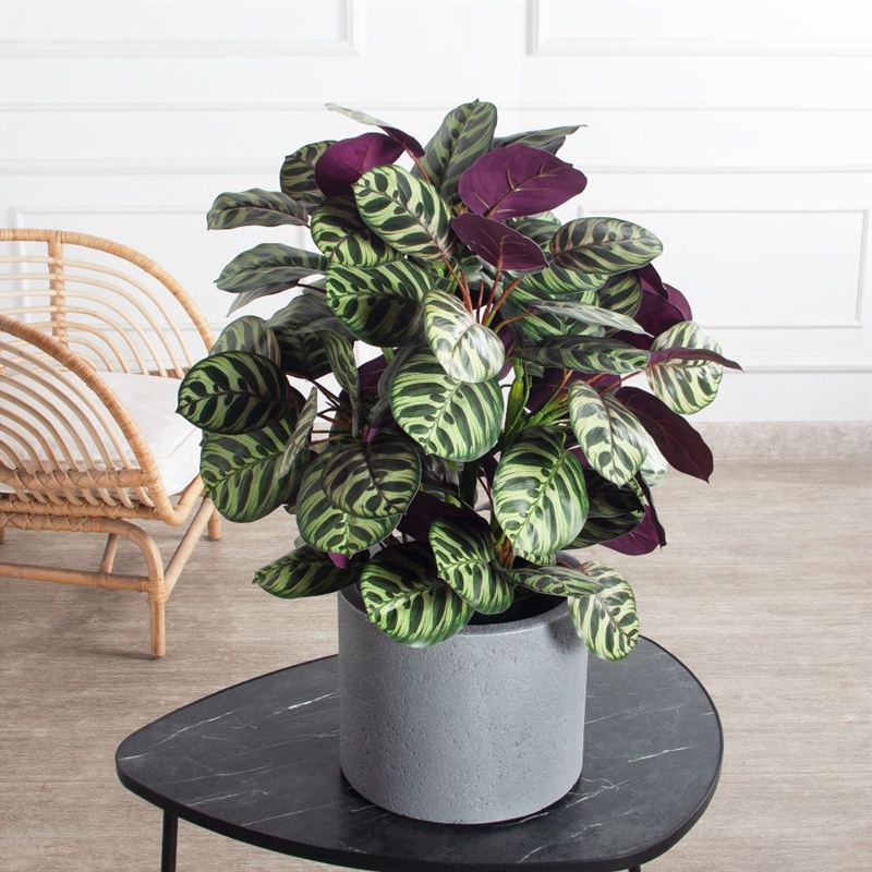 070/К/206(Пр)(F) Калатея искусственная 70 см, зелено-фиолетовая 41690 - фото 103315