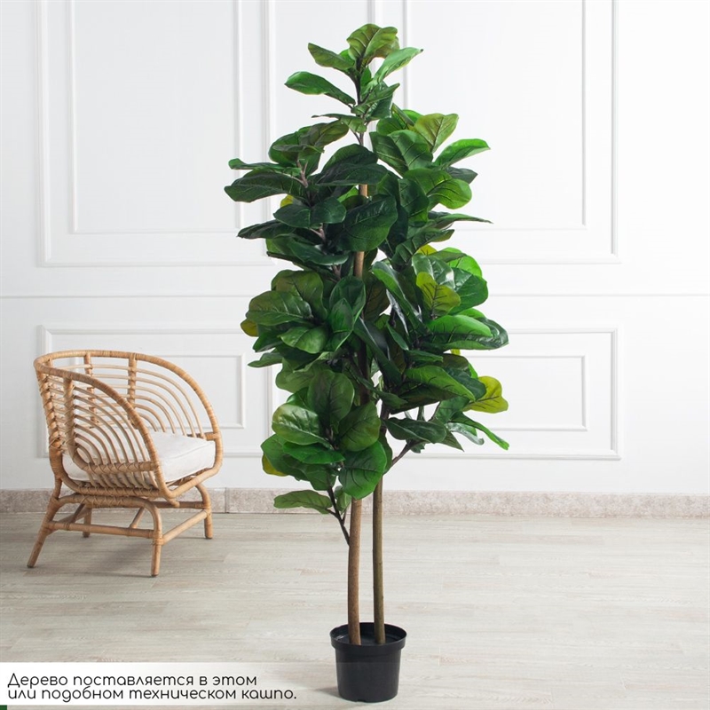 180/РН/631(з)(Пр)(F) Фикус искусственный Лирата h180см 42058 - фото 103890
