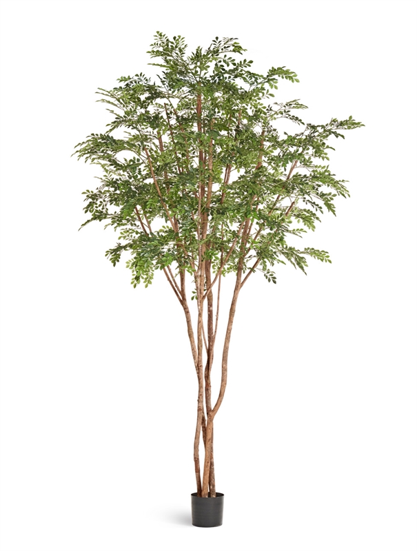 Гигантская Муррайя в-330 см сборная (искусственная) Treez Collection 45557 - фото 109433