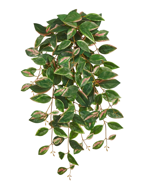 Хойя Кримсон Квин ампельная зелёно-бело-розовая искусственная (Sensitive Botanic) Treez Collection 45558 - фото 109434