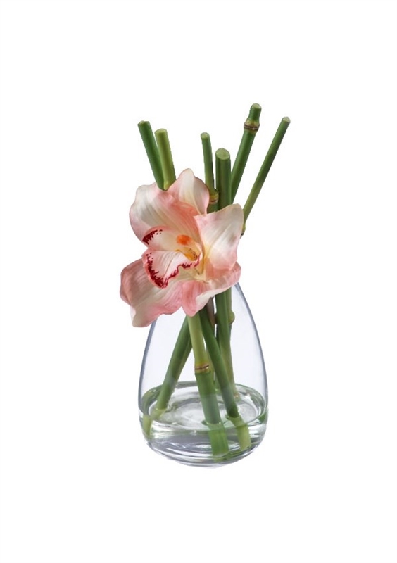 Орхидея Цимбидиум персиковая в стекле с водой (искусственная) Treez Collection - фото 12231