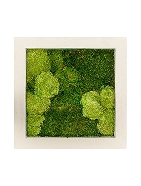 Картина из мха natural 30% ball- and 70% flat moss 50/50 (искусственная) Nieuwkoop Europe - фото 14634