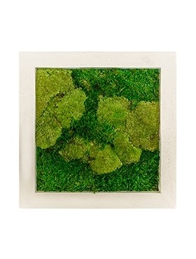 Картина из мха natural 50% ball- and 50% flat moss (искусственная) Nieuwkoop Europe - фото 14637