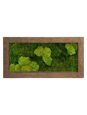 Картина из мха rock 30% ball- and 70% flat moss (искусственная) Nieuwkoop Europe - фото 14645