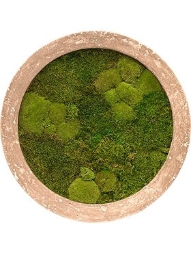 Картина из мха rock 30% ball- and 70% flat moss 40/5 (искусственная) Nieuwkoop Europe - фото 14646