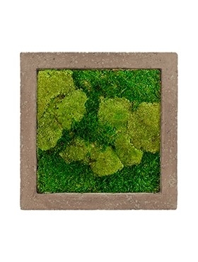Картина из мха rock 50% ball- and 50% flat moss 50/50 (искусственная) Nieuwkoop Europe - фото 14647