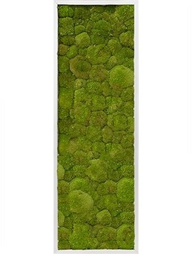 Картина из мха aluminum 100% flat moss (natural) искусственная Nieuwkoop Europe - фото 14650
