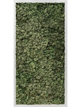 Картина из мха aluminum 100% reindeer moss 40/80 (dark green) искусственная Nieuwkoop Europe - фото 14653