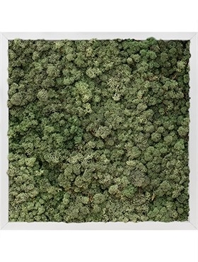 Картина из мха aluminum 100% reindeer moss (dark green) искусственная Nieuwkoop Europe - фото 14654