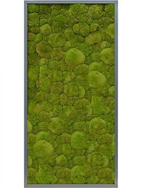 Картина из мха mdf ral 7016 satin gloss 100% ball moss (natural) искусственная Nieuwkoop Europe - фото 14668