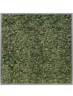 Картина из мха mdf ral 7016 satin gloss 100% reindeer moss (dark green) искусственная Nieuwkoop Europe - фото 14671