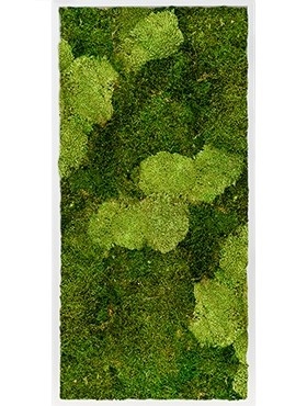 Картина из мха mdf ral 9010 satin gloss 30% ball moss (natural) and 70% flat moss (искусственная) Nieuwkoop Europe - фото 14687