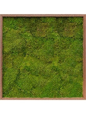 Картина из мха meranti 100% flat moss (искусственная) Nieuwkoop Europe - фото 14690