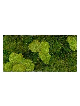 Картина из мха stiel l ral 7016 30% ball- and 70% flat moss (искусственная) Nieuwkoop Europe - фото 14696