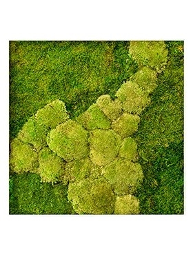 Картина из мха stiel l ral 9010 50% ball- and 50% flat moss (искусственная) Nieuwkoop Europe - фото 14704
