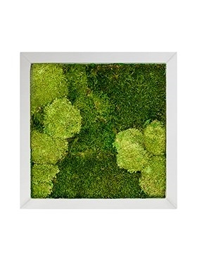 Картина из мха superline 30% ball- and 70% flat moss 50/50 (искусственная) Nieuwkoop Europe - фото 14714
