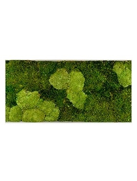 Картина из мха superline l 30% ball- and 70% flat moss (искусственная) Nieuwkoop Europe - фото 14719