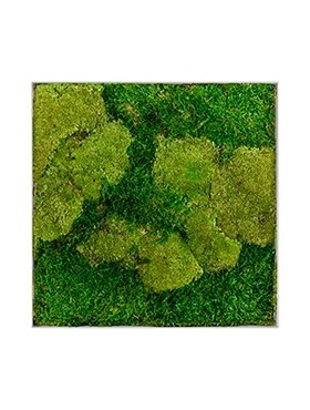 Картина из мха superline l 50% ball- and 50% flat moss (искусственная) Nieuwkoop Europe - фото 14720