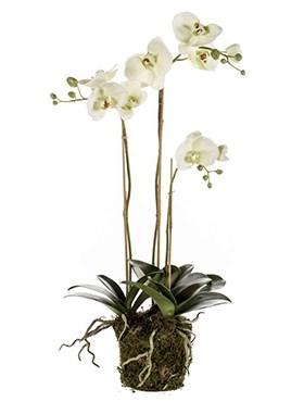 Орхидея Фаленопсис с землёй и мхом (искусственная) Nieuwkoop Europe - фото 29466