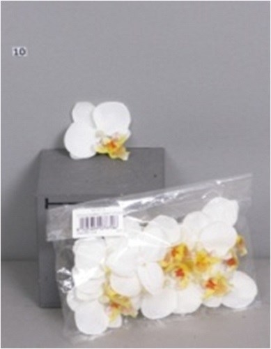 Орхидеи кремовые цветы 12 шт.   (искусственная) GL - фото 30778