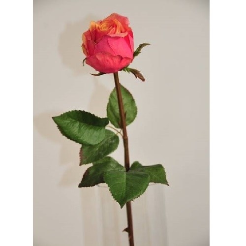 Роза лососевая (искусственная) GL - фото 30817